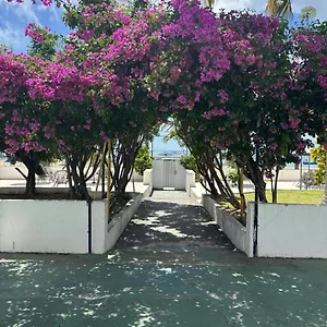  Apartamento Apto 3 Quartos Pe Na Areia Prox De Brasil